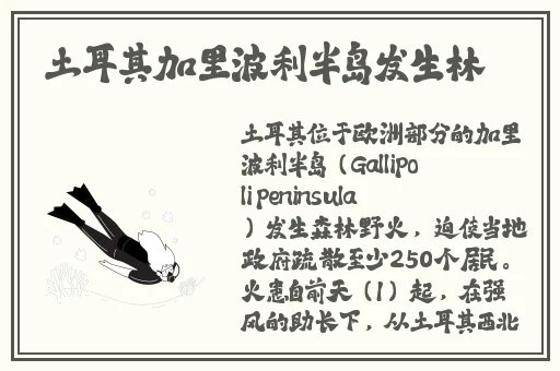 速度与激情HR**